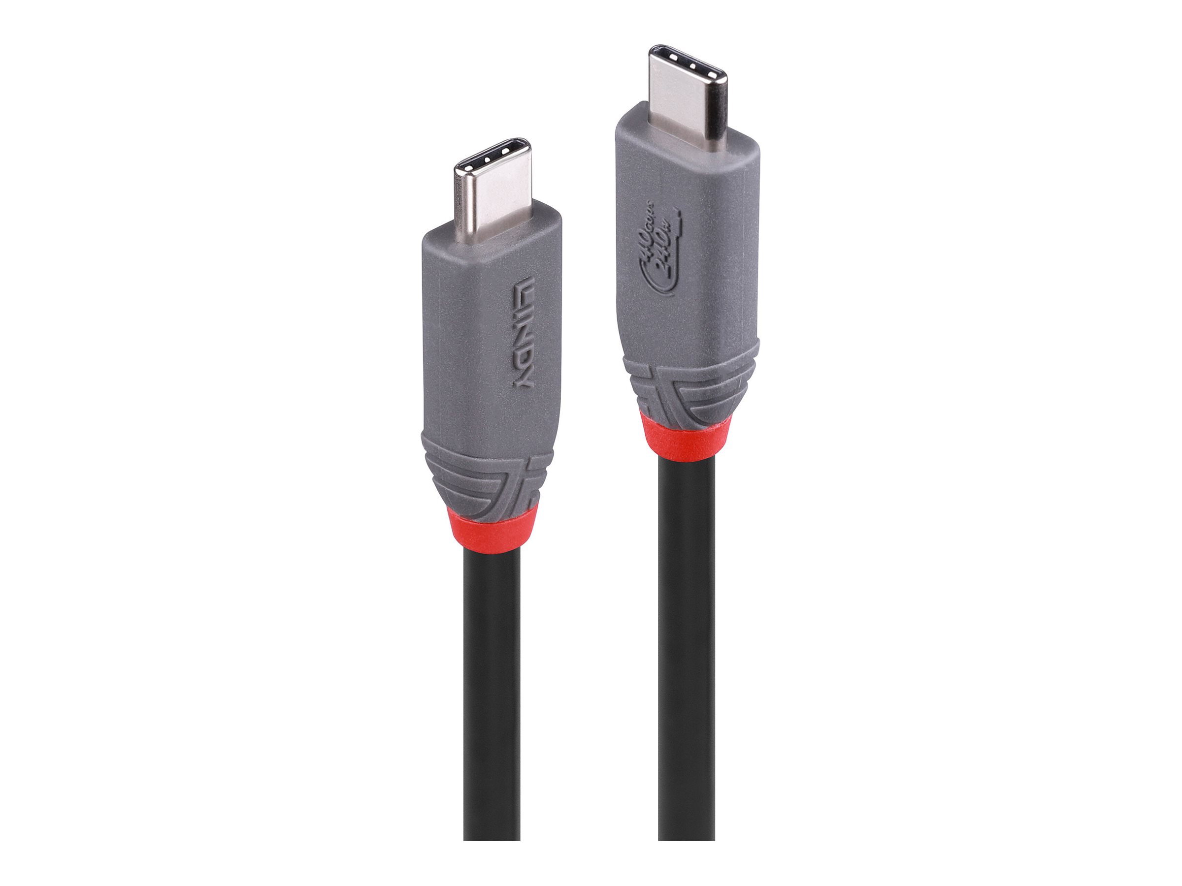 Lindy Anthra Line - USB-Kabel - 24 pin USB-C (M) zu 24 pin USB-C (M) - USB4 Gen3x2 - 48 V - 5 A
