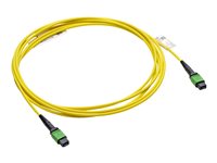 HPE InfiniBand NDR - InfiniBand-Kabel - MPO-8 zu MPO-8 - 3 m - Glasfaser