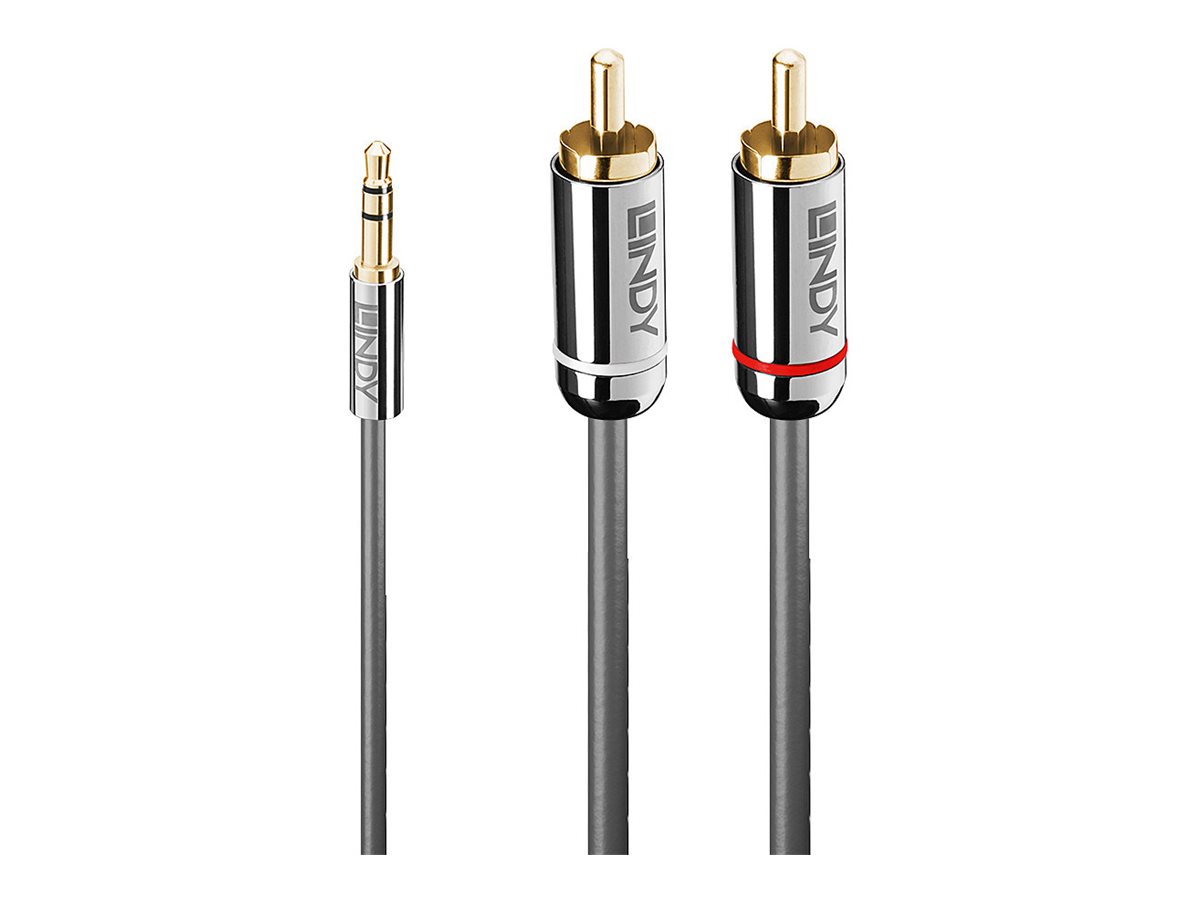 Lindy Cromo Line - Audiokabel - mini-phone stereo 3.5 mm mnnlich zu RCA mnnlich - 1 m - Anthrazit - rund
