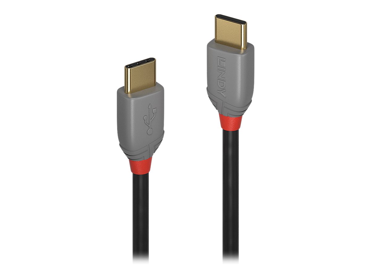 Lindy Anthra Line - USB-Kabel - 24 pin USB-C (M) zu 24 pin USB-C (M) - USB 2.0 - 50 cm - rund
