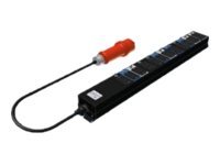 Fujitsu - Steckdosenleiste (Rack - einbaufhig) - AC 250/400 V - Eingabe, Eingang IEC 60309 - Ausgangsanschlsse: 15