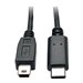 Eaton Tripp Lite Series USB 5-Pin Mini-B to USB-C Cable - USB 2.0, (M/M), 6 ft. (1.83 m) - USB-Kabel - 24 pin USB-C (M) zu Mini-