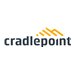 Cradlepoint - Halterung - Pfosten montierbar, geeignet fr Wandmontage