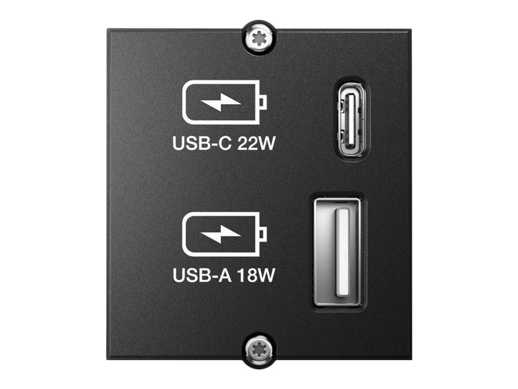 Bachmann Custom module - Modulares Faceplate-Snap-In - USB Type A, USB Typ C - Schwarz