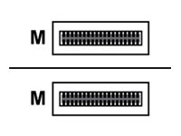 Lenovo - 100GBase-CU Kabel zur direkten Befestigung - QSFP28 zu QSFP28 - 3 m - passiv - fr ThinkSystem NE10032 RackSwitch, NE25