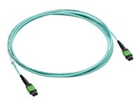 HPE - InfiniBand-Kabel - MPO-8 zu MPO-8 - 5 m - Glasfaser
