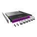PATCHBOX PLUS+ SYSTEM OM4 - Glasfaser-Kabelmanagementsystem mit selbst einziehenden Patchkabeln - 1.7 m - RAL 9005 - 1U - 48.3 c