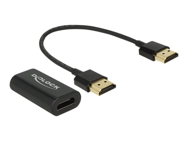 DeLOCK Adapter HDMI-A male > VGA female - Videokonverter - HDMI - VGA - retail