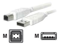EFB-Elektronik - USB-Kabel - USB (M) zu USB Typ B (M) - 5 m