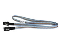 HPE Fanout Cable - Externes SAS-Kabel - 4-Lane - 36 pin 4x Mini SAS HD (SFF-8644) (M) zu 36 pin 4x Mini SAS HD (SFF-8644) (M) - 