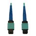 Eaton Tripp Lite Series 40/100/400G Multimode 50/125 OM3 Fiber Optic Cable (24F MTP/MPO-PC F/F), LSZH, Aqua, 10 m (32.8 ft.) - N
