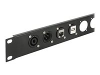 Delock D-Type Module 3.5 mm 3 pin stereo jack female to terminal block - Modulares Faceplate-Snap-In - an Schalttafel montierbar