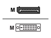 M-CAB - Adapterkabel - DisplayPort (M) zu DVI-D (M) - DisplayPort 1.2 - 3 m - Daumenschrauben, 4K Untersttzung, 1080p-Unterstt