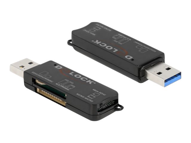 Delock - Kartenleser (MS PRO, SD, MS Duo, MS PRO Duo, miniSD, RS-MMC, microSD, SDHC, miniSDHC, MS Micro, microSDHC, MS PRO-HG Du