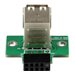StarTech.com 2 Port USB Motherboard Header Adapter - USB-Adapter - USB (W) zu 10-poliger USB-Header (W)