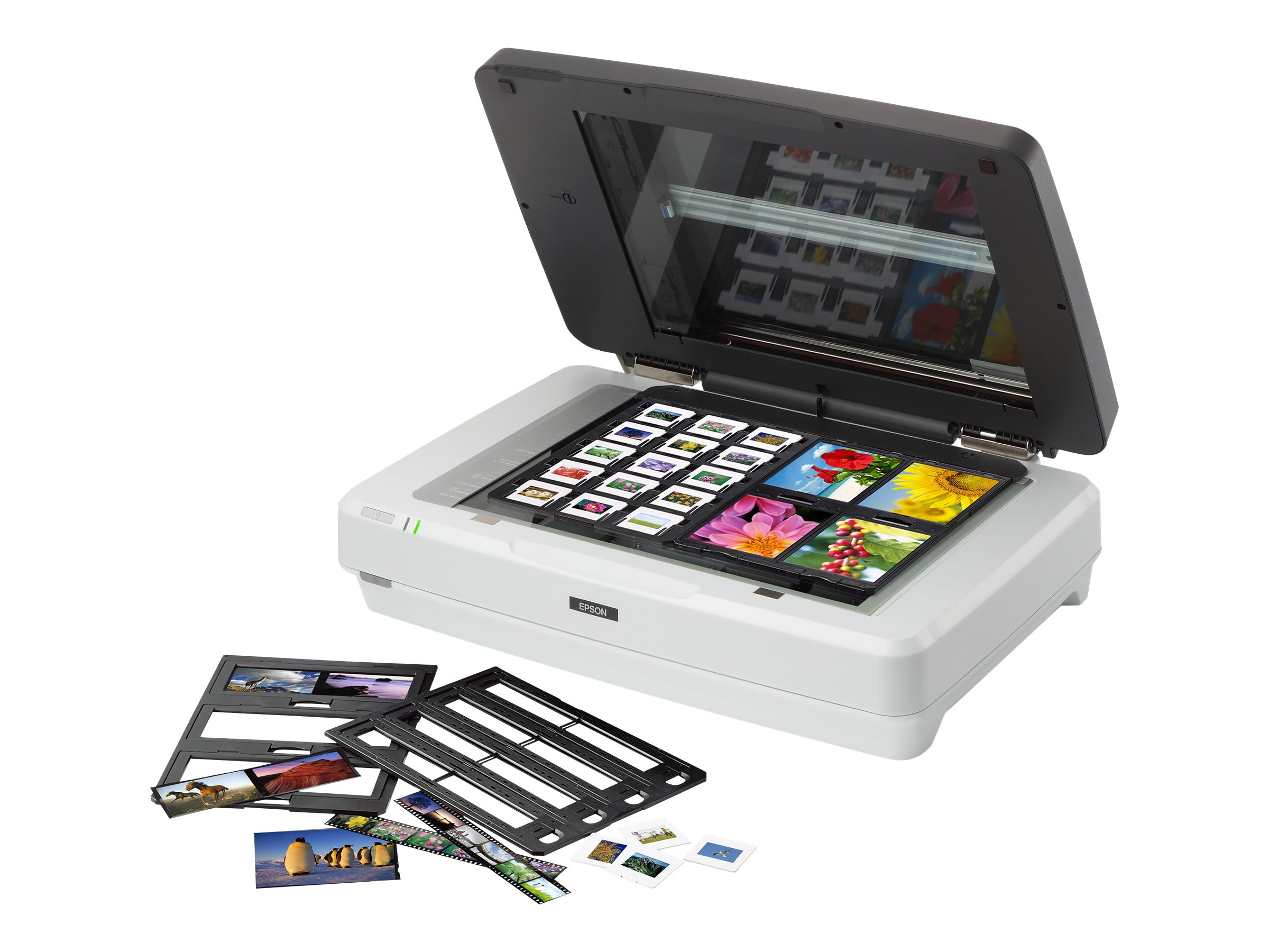 Epson Expression 12000XL Pro - Flachbettscanner - A3 - 2400 dpi x 4800 dpi - USB 2.0