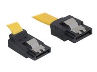 Delock Cable SATA - SATA-Kabel - Serial ATA 150/300/600 - SATA (W) zu SATA (W) - 20 cm - eingerastet, nach oben gewinkelter Stec