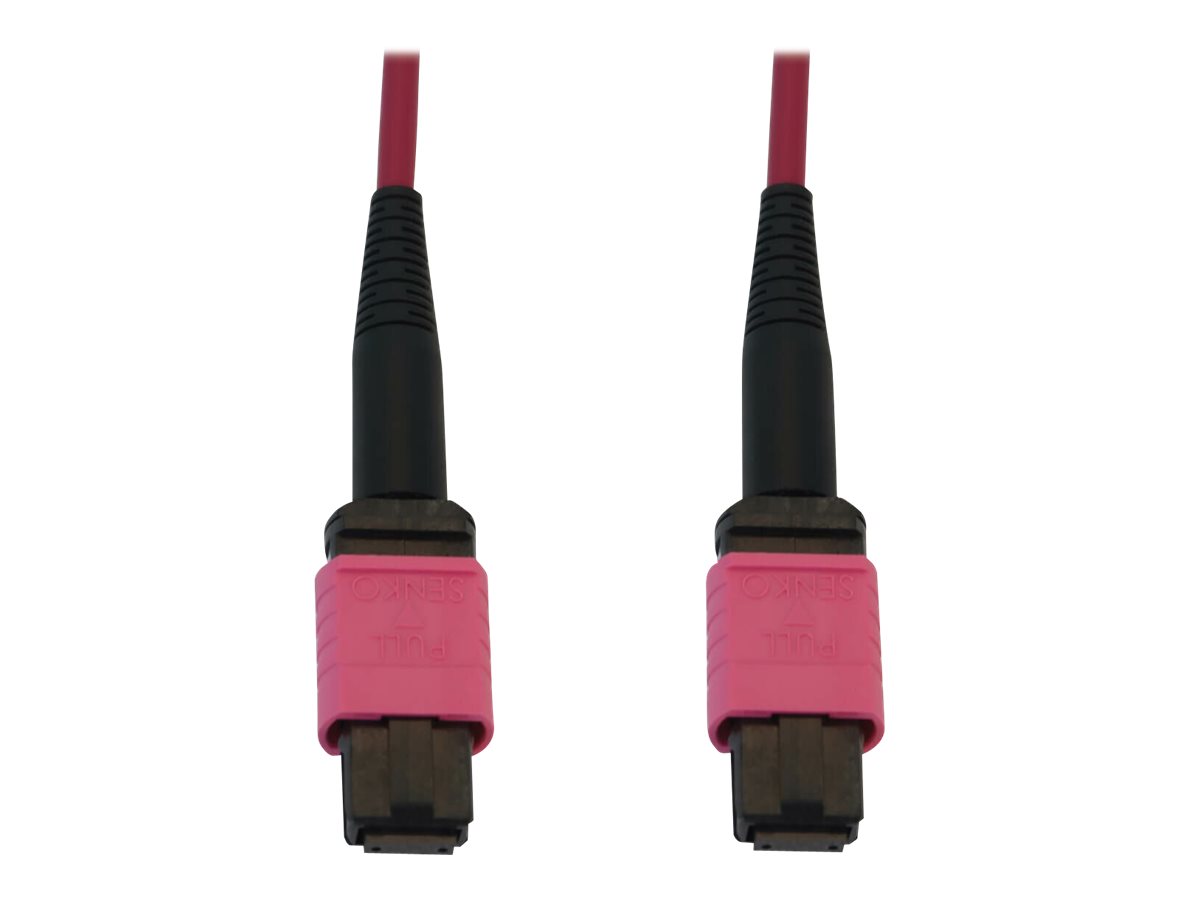 Eaton Tripp Lite Series 100G Multimode 50/125 OM4 Fiber Optic Cable (12F MTP/MPO-PC F/F), LSZH, Magenta, 20 m (65.6 ft.) - Netzw
