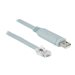 Delock - Kabel seriell - USB (M) zu RJ-45 (M) - 1 m - EIA-232 - Grau