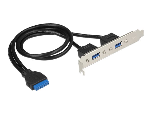 Delock Slot bracket - USB-Konsole - USB Typ A (W) zu 19-poliger USB 3.0 Kopf (W) - fr Delock Converter M.2