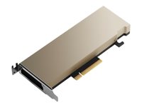 NVIDIA A2 - GPU-Rechenprozessor - A2 - 16 GB GDDR6 - PCIe 4.0 x8 Low-Profile - ohne Lfter