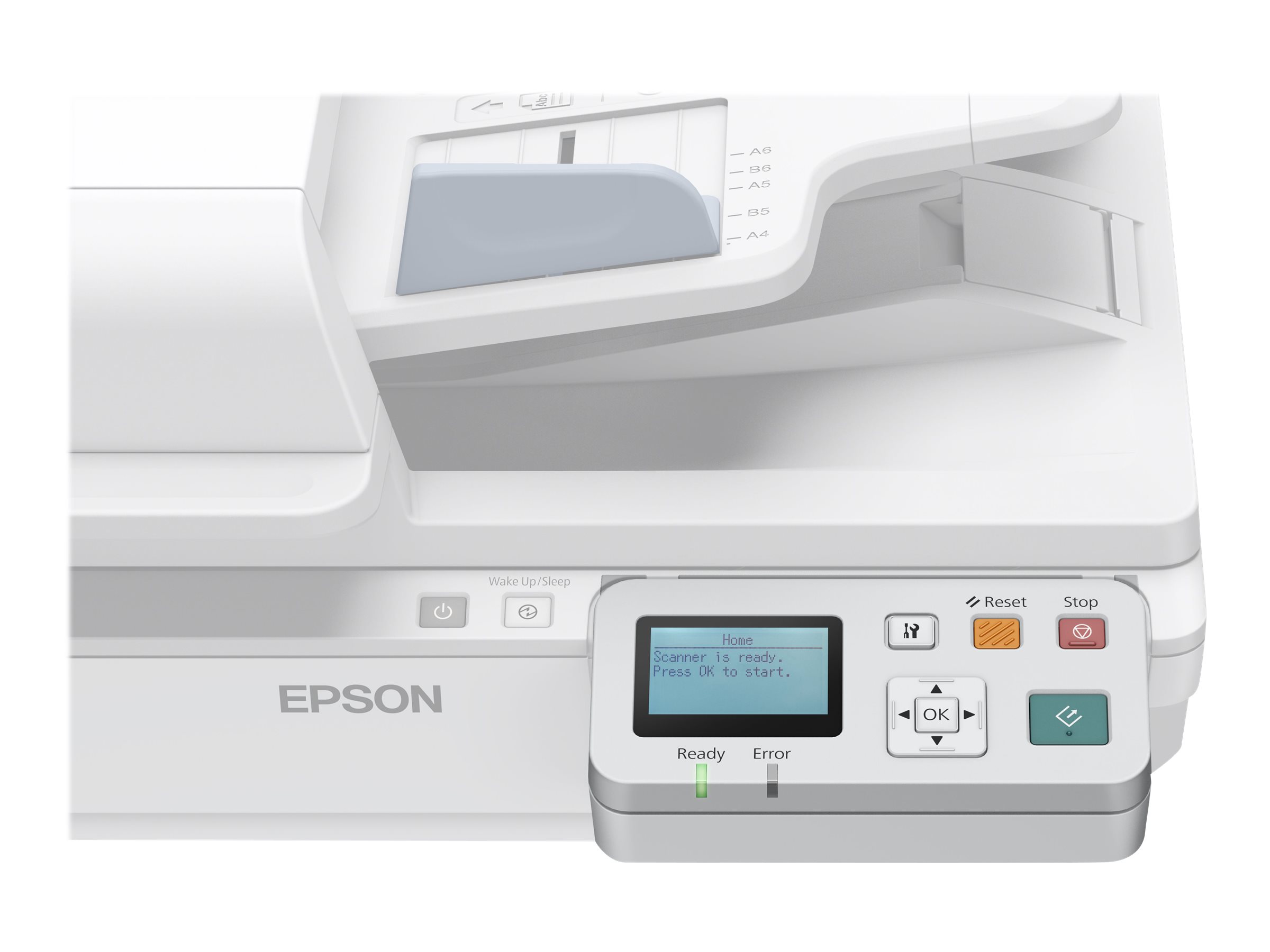 Epson Network Scan Module - Scannerserver - 10/100 Ethernet - fr Epson DS-6500, DS-7500; WorkForce DS-50000, DS-5500, DS-60000,