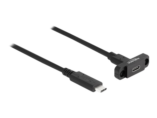 Delock - USB-Verlngerungskabel - 24 pin USB-C (M) zu 24 pin USB-C (W) Paneel montierbar - USB 3.2 Gen 2 - 1 m - Schwarz