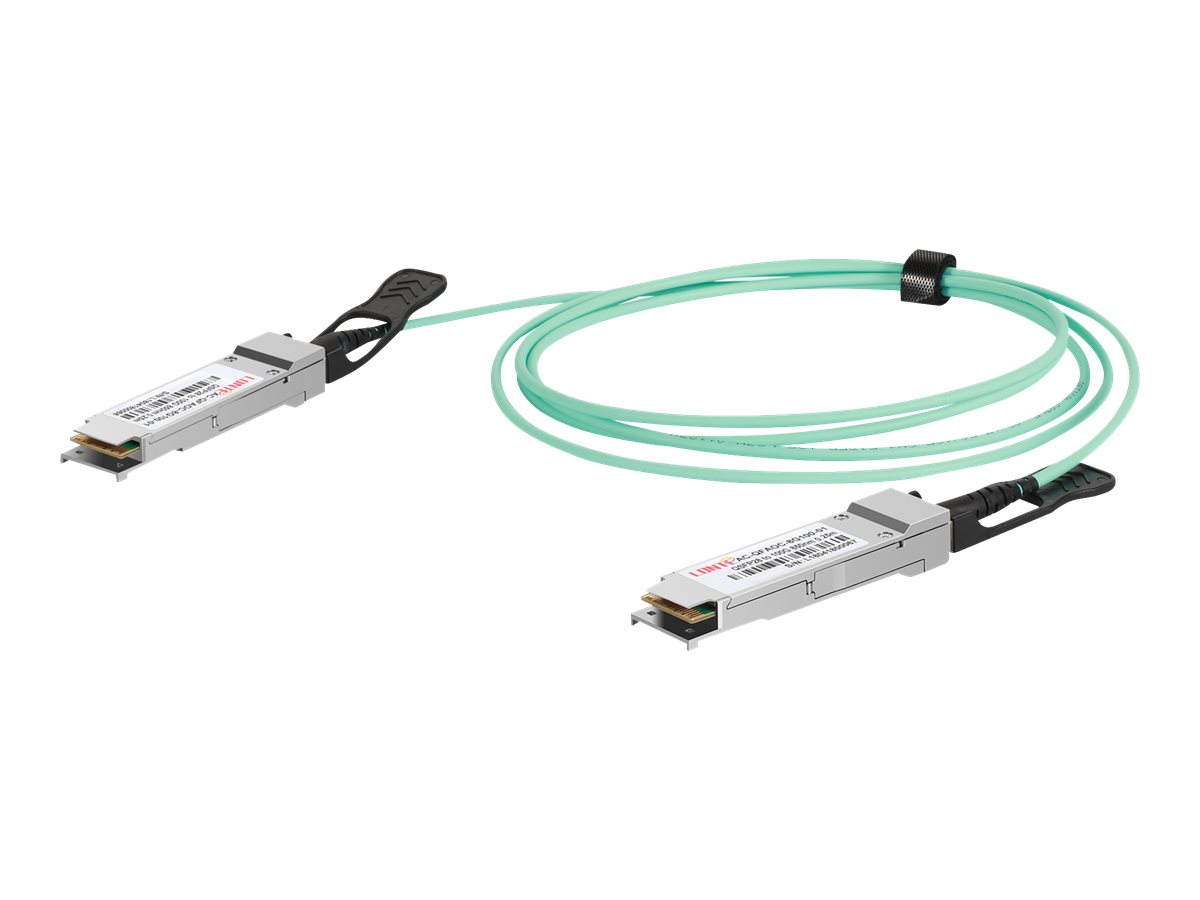 DIGITUS - 100GBase Direktanschlusskabel - QSFP28 zu QSFP28 - 3 m - Glasfaser - Duplex