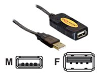 Delock Extension cable USB 2.0 - USB-Verlngerungskabel - USB (M) zu USB (W) - 30 m - aktiv