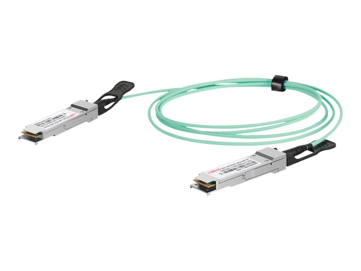 DIGITUS - 100GBase Direktanschlusskabel - QSFP28 zu QSFP28 - 10 m - Glasfaser - Duplex