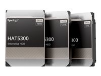 Synology HAT5300 - Festplatte - 12 TB - intern - 3.5
