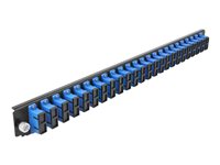 DeLOCK - Glasfaser-Spleissboxpaneel - Vorderseite - SC SM X 48 - Schwarz, Blau - 1U
