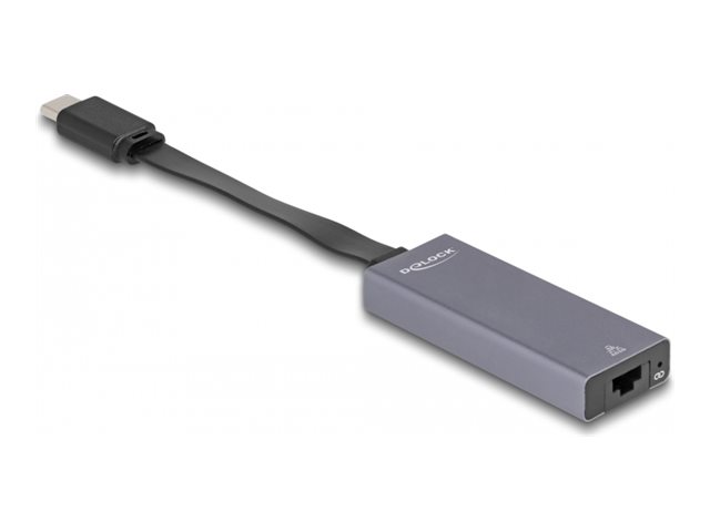 Delock - Netzwerkadapter - USB-C 3.2 Gen 1 - 2.5GBase-T x 1 - Anthrazit