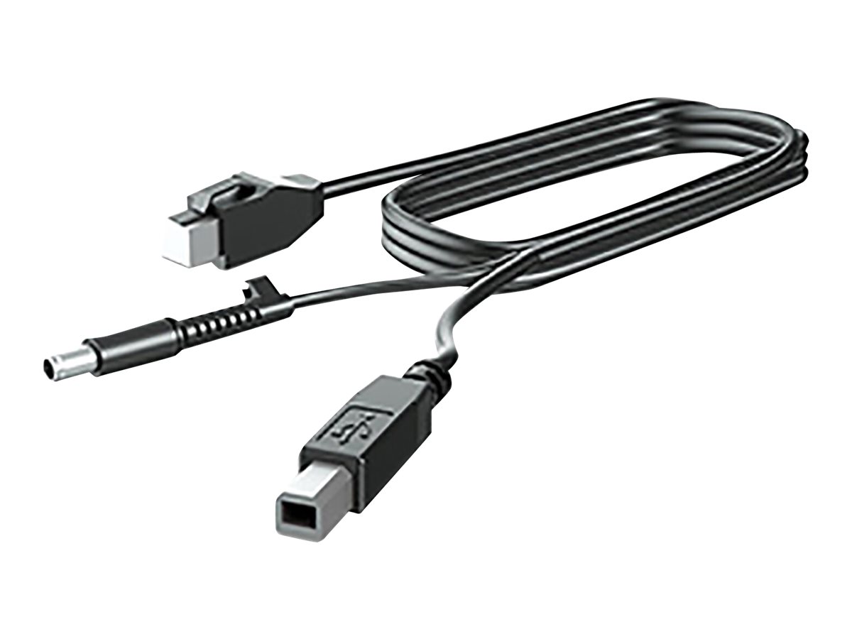 HP - DisplayPort-Kabel - DisplayPort (M) zu DisplayPort (M) - 3 m - fr RP9 G1 Retail System 9015, 9018, 9118