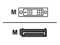 HDGear - DisplayPort-Kabel - DisplayPort (M) zu DVI-D (M) - 2 m - Daumenschrauben - Schwarz