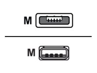 Zebra - USB-Kabel - USB (M) zu Micro-USB Type A (R) - 1.83 m - fr ZQ500 Series ZQ510, ZQ520