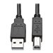 Tripp Lite 6ft HDMI DVI USB KVM Cable Kit USB A/B Keyboard Video Mouse 6' - Video-/Audio-/Datenkabel-Kit - 1.8 m - Schwarz - gef