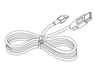 Citizen - Druckerkabel - Mini-USB, Typ B (M) zu USB (M) - fr Citizen CMP-20, CMP-30