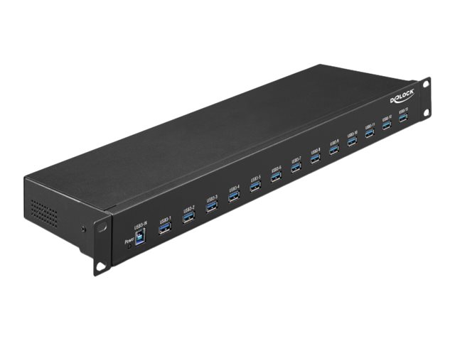 DeLock - Hub - 13 x USB 3.1 Gen 1 - an Rack montierbar