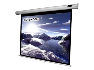 Celexon Economy Manual Screen - Leinwand - Deckenmontage mglich, geeignet fr Wandmontage - 350 cm (138