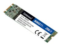 Intenso TOP - SSD - 256 GB - intern - M.2 2280 - SATA 6Gb/s