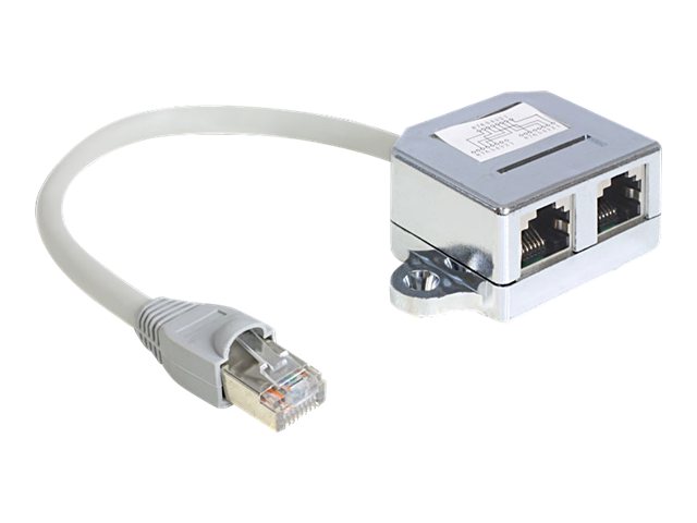 Delock RJ45 Port Doubler - Ethernet 100Base-TX-Splitter - RJ-45 (M) zu RJ-45 (4-PIN) (W) - 15 cm