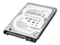 HP Enterprise - Festplatte - 1 TB - 3.5