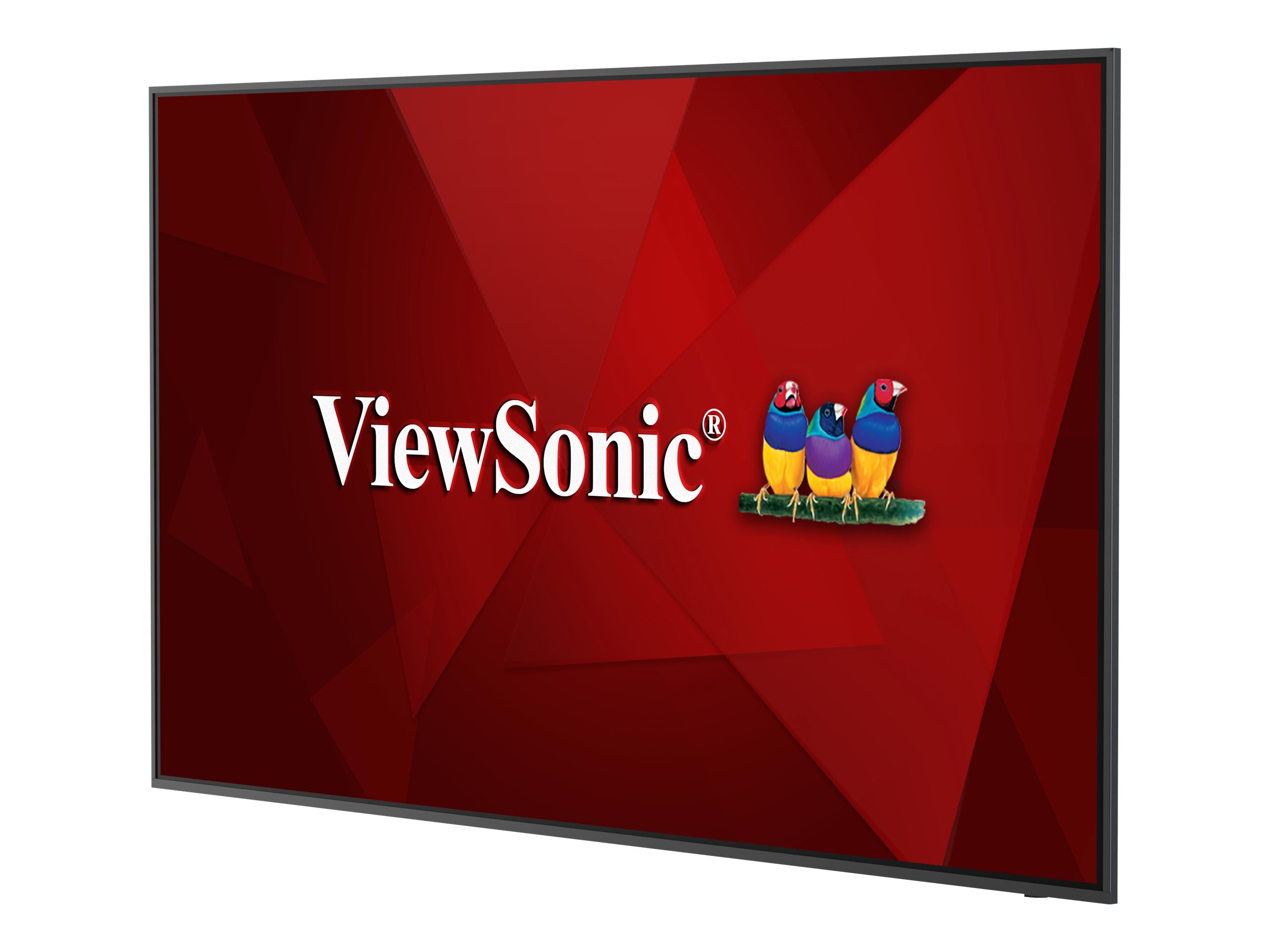 ViewSonic CDE6520 - 165.1 cm (65