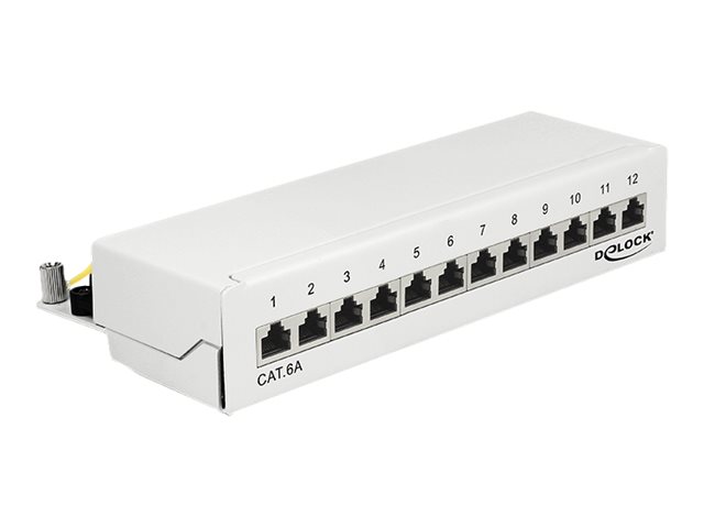 Delock - Patch Panel - geeignet fr Wandmontage - CAT 6a - RJ-45 X 12 - Pure White, RAL 9010