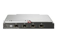 HPE Virtual Connect 8Gb 20-Port Fibre Channel Module - Switch - 20 x 8Gb Fibre Channel - Plugin-Modul - fr BLc3000 Enclosure; B