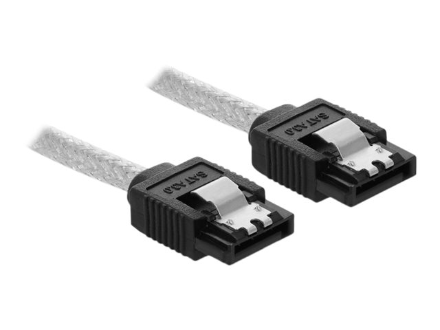 Delock - SATA-Kabel - Serial ATA 150/300/600 - SATA (R) zu SATA (R) - 20 cm - durchsichtig