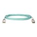 HPE 100Gb Active Optical Cables - Ethernet 100GBase-AOC cable - QSFP28 zu QSFP28 - 15 m - Glasfaser - aktiv