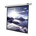 Celexon Economy Manual Screen - Leinwand - Deckenmontage mglich, geeignet fr Wandmontage - 225 cm (89