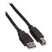 Roline - USB-Kabel - USB (M) zu USB Typ B (M) - USB 2.0 - 1.8 m